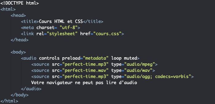On utilise les attributs de l'élément HTML audio pour personnaliser les options de lecture