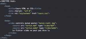 Insérer des vidéos avec l’élément HTML video - Pierre Giraud