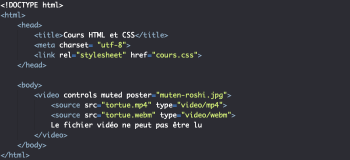On utilise les attributs de l'élément video en HTML pour personnaliser notre video
