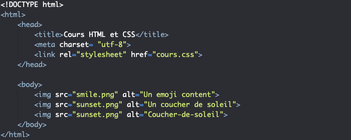 Support HTML pour exemple d'utilisation de sélecteurs CSS d'attributs