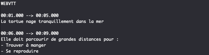 Fichier de sous titrage pour une video HTML