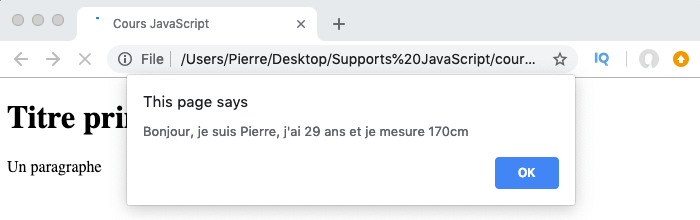 On définit de nouvelles propriétés et des méthodes à un objet littéral en JavaScript
