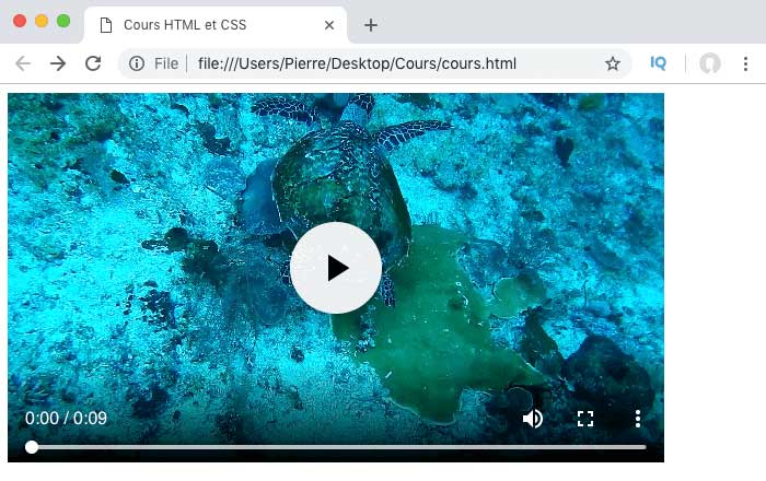 Le navigateur choisit le format de video qu'il sait lire