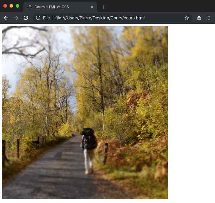 Affichage d'une image en fonction de la taille de l'écran du visiteur en HTML