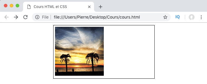 En utilisant des valeurs en pourcentage, notre image HTML occupera une partie de son conteneur