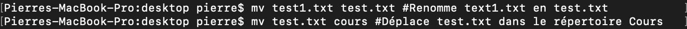 Utilisation de la commande shell bash mv pour renommer ou déplacer des fichiers