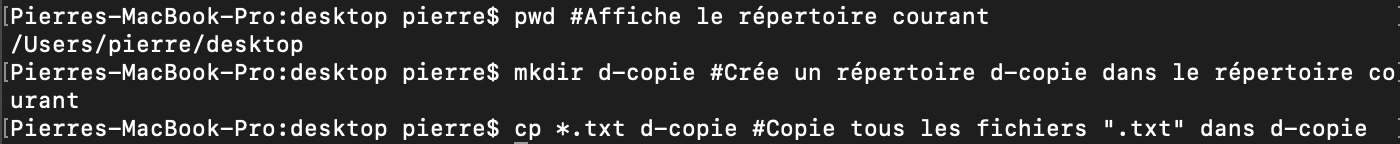 Utilisation des extensions de chemin de bash avec * et ? 