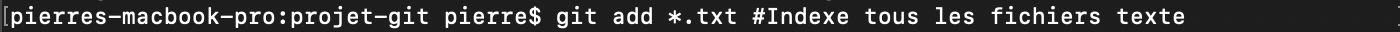 Git add ajout fichiers index