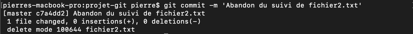 commit d'un git rm cached